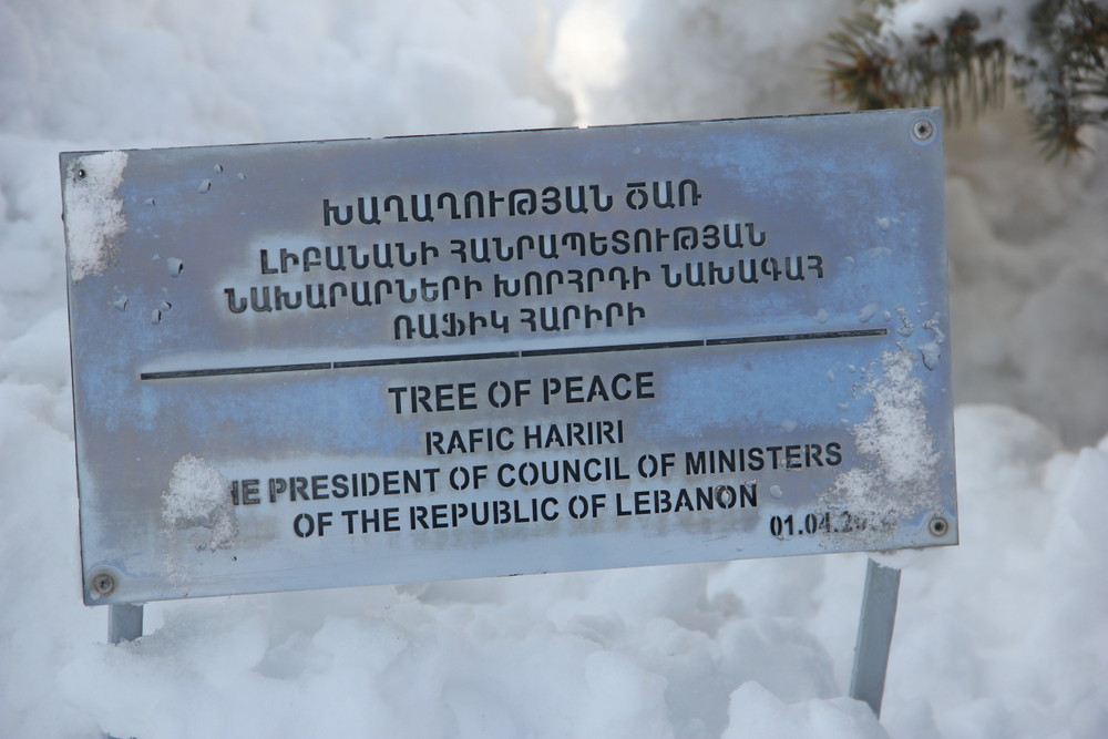平和を祈って植えられた木